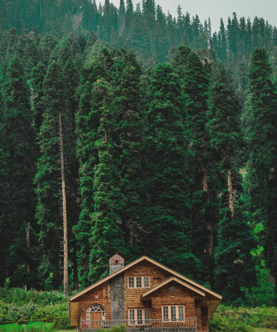 Forests