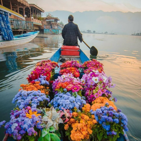 Kashmir Spring Package